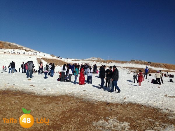 jabalelskheikhlud (25).JPG